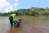 Dua bocah mengambil air sungai pada tradisi Mandi Safar di Desa Buata, Kabupaten Gorontalo Utara, Gorontalo, Rabu (21/9/2022). Mandi Safar adalah tradisi tahunan yang dilakukan oleh masyarakat saat bulan safar untuk mensucikan diri dan hati serta menghilangkan hal buruk dari manusia dan alam yang dihanyutkan oleh air sungai yang mengalir. ANTARA FOTO/Adiwinata Solihin/nz