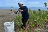 Warga yang tergabung dalam komunitas lingkungan, Break Free From Plastic (BFFP) memungut sampah botol plastik bekas di pantai wisata Desa Lamteungoh, Kabupaten Aceh Besar, Aceh, Sabtu (24/9/2022). Aksi membersihkan sampah plastik bekas dalam rangkaian peringatan World Cleanup Day (WCD) itu bertujuan mengajak masyarakat peduli terhadap pengelolaan sampah dan menjaga lingkungan bersih. ANTARA FOTO/Ampelsa.