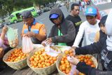 Sejumlah warga mengambil tomat gratis saat Hari Tani Nasional ke-62 di Depan Kantor Bupati Jember, Jawa Timur, Sabtu (24/9/2022). Pembagian tomat gratis tersebut dilakukan sebagai bentuk kritik kepada pemerintah karena harga tomat ditingkat petani Rp500 per kilogram yang turun dari Rp5.000 per kilogram, sehingga tidak mencukupi biaya produksi. Antara Jatim/Seno/mas.