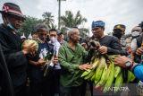 Gubernur Jawa Barat Ridwan Kamil (kedua kanan) menerima hasil tani dari Petani yang tergabung dalam Asosiasi Pengelola Perhutanan Sosial Indonesia (AP2SI) Jawa Barat saat aksi unjuk rasa di depan Gedung Sate, Bandung, Jawa Barat, Senin (26/9/2022). Aksi tersebut sebagai bentuk apresiasi terhadap undang-undang pokok agraria serta menuntut pemerintah untuk menerbitkan pergub serta perda tentang skema pembiayaan penetapan tata kelola tanah objek reforma agraria dan perhutanan sosial hingga jaminan harga pasar kepada petani. ANTARA FOTO/Novrian Arbi/agr