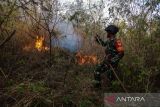 Anggota TNI memadamkan kebakaran hutan dan lahan (karhutla) di Desa Cibuntu, Kecamatan Pesawahan, Kuningan, Jawa Barat, Senin (26/9/2022). Puluhan personel gabungan dari Balai Taman Nasional Gunung Ciremai (BTNGC), Masyarakat Peduli Api (MPA) dan personel TNI dan Polri diterjunkan ke lokasi kebakaran untuk memadamkan api yang telah menghanguskan puluhan hektar kawasan hutan di lereng Gunung Ciremai. ANTARA FOTO/Dedhez Anggara/agr