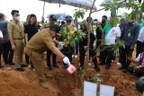1.770 pohon ditanam untuk hijaukan Bendungan Margatiga