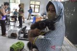 Warga menggendong kucing sebelum mendapatkan vaksin rabies saat Hari Rabies Sedunia di UPTD BPP Manonjaya, Kabupaten Tasikmalaya, Jawa Barat, Rabu (28/9/2022). Pemprov Jabar melalui Dinas Pertanian, Ketahanan Pangan dan Perikanan (DPKPP) Kabupaten Tasikmalaya menyediakan 700 dosis vaksin rabies gratis untuk mengantisipasi penyebaran virus pada hewan peliharaan. ANTARA FOTO/Adeng Bustomi/agr
