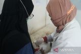 Antisipasi rabies, Pemkot Pekalongan alokasikan 200 dosis vaksin