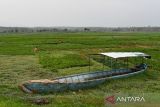 Warga merawat tanaman yang ditanam di area Waduk Dawuhan Kabupaten Madiun, Jawa Timur, Jumat (30/9/2022). Sejumlah warga di wilayah itu memanfaatkan area waduk yang mengering untuk lahan pertanian sebelum waduk terisi air lagi pada musim hujan. ANTARA Jatim/Siswowidodo/zk