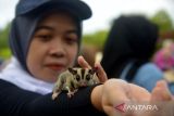 Seorang pecinta binatang membawa seekor musang peliharaannya sebelum bersepeda keliling kota di Banda Aceh, Aceh, Minggu (2/10/2022). Aksi bersepda keliling kota dalam rangka memperingati  Hari Binatang Sedunia pada 4 Oktober 2022 itu mengkampanyekan kesejahteraaan dan hak hidup binatang, termasuk satwa dilindungi. ANTARA FOTO/Ampelsa.