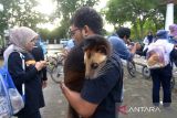 Seorang pecinta binatang membawa seekor musang peliharaannya sebelum bersepeda keliling kota di Banda Aceh, Aceh, Minggu (2/10/2022). Aksi bersepda keliling kota dalam rangka memperingati  Hari Binatang Sedunia pada 4 Oktober 2022 itu mengkampanyekan kesejahteraaan dan hak hidup binatang, termasuk satwa dilindungi. ANTARA FOTO/Ampelsa.