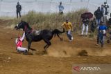 Joki terjatuh saat  memacu kuda pada balapan Pacuan Kuda Cibogo, Tanjungsari, Sumedang, Jawa Barat,  Minggu (2/10/2022). Sebanyak 106 peserta dari 