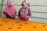 Pemkab Magetan promosikan motif Batik Soheden khas Desa Soco