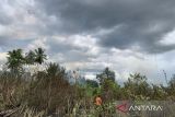Dua hektare lahan terbakar di Aceh