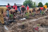 Tekan Inflasi, Sekdakot Manado tanam cabe di Mapanget