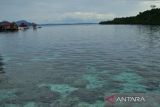 BTNKT  ajak warga Togean jaga kebersihan pantai di kawasan lindung