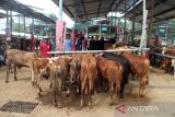 Lima pasar hewan di Boyolali dibuka dengan prosedur ketat