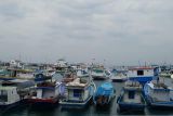 Pemkab Flores Timur hibahkan 14 unit kapal bagi nelayan