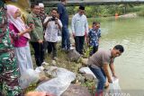 157 ribu bibit ikan dilepas di Sungai Lubuk Manggis Aek Nabirong