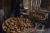 Pekerja memilah tahu goreng di Cisadap, Kabupaten Ciamis, Jawa barat, Selasa (11/10/2022). Pemerintah telah menyiapkan subsidi selisih harga kedelai Rp1.000 per kg untuk para perajin tahu tempe dengan menyalurkan kedelai subsidi sebesar 200 ribu ton per bulan pada Desember 2022 mendatang. ANTARA FOTO/Adeng Bustomi/agr