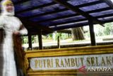 Sumsel revitalisasi kompleks pemakaman leluhur di Bukit Siguntang