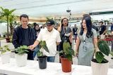 Teten Madsuki: Indonesia justru gudang tanaman hias
