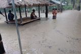 Puluhan rumah warga di Lombok Tengah terendam banjir