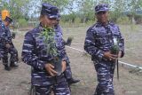 Danpuspenerbal: Butuh banyak orang untuk budidayakan cendana di NTT