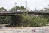 Tanaman bambu tersangkut di Jembatan Lama Kediri (Brug Over Den Brantas te Kediri) yang ditutup di Kota Kediri, Jawa Timur, Selasa (18/10/2022). Jembatan cagar budaya berkonstruksi besi pertama di Jawa peninggalan kolonial Belanda tersebut ditutup untuk umum karena tingginya debit air sungai Brantas mencapai 1.040 meter kubik per detik atau telah memasuki zona merah siaga bencana banjir. ANTARA Jatim/Prasetia Fauzani/zk 