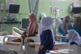 Dokter merawat pasien anak penderita gagal ginjal akut di ruang Pediatrik Intensive Care Unit (PICU) Rumah Sakit Umum Daerah Zainal Abidin, Banda Aceh, Aceh, Jumat (21/10/2022). Dinas Kesehatan provinsi Aceh menyatakan sejak Juni hingga 20 Oktober 2022 tercatat sebanyak 31 anak menderita gagal ginjal, 20 orang anak di antaranya meninggal dunia,  sisanya dalam perawatan dan selain beberapa anak sudah dipulangkan.ANTARA FOTO/Ampelsa.