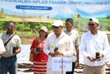 Gubernur Laiskodat apresiasi BI kembangkan klaster cabai di Sumba Barat Daya