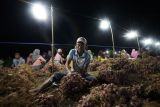 Petani bawang di Bima tekan biaya produksi manfaatkan teknologi PLN
