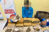 BNNK OKU Timur amankan 7 Kg ganja dari seorang pelajar SMA di Baturaja