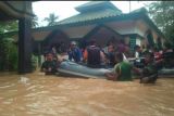 Satu desa di Lampung Barat diterjang tanah longsor