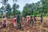 Dukung ketahanan pangan, TNI AD tanam jagung di lahan kosong