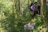 Temuan mayat perempuan dalam karung di perkebunan