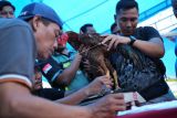 Peserta menimbang berat badan ayam yang akan bertanding pada kontes ayam nusantara Kecamatan Abeli, Kendari, Sulawesi Tenggara, Minggu (30/10/2022). Kontes ayam nusantara memperebutkan piala bergillir tahun 2022 dari Perkumpulan Penghobi Ayam Kontes Nusantara (PPAKN) tersebut diikuti peserta dari Jawa Timur, Sulawesi Selatan dan Sulawesi Tenggara. ANTARA FOTO/Jojon/aww.
