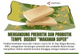 Mengandung Prebiotik dan Probiotik Tempe disebut 