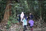 Pengenalan ekosistem hutan murid sanggar bimbingan di Kuala Lumpur