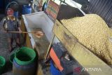Pekerja memindahkan kacang kedelai setelah dilakukan pencucian untuk pembuatan tempe di salah satu Industri Kecil Menengan (IKM), Desa Tanjung, Kecamatan Ingin Jaya, Kabupaten Aceh Besar, Aceh, Senin (31/10/2022). Pengusaha tempe di daerah itu menyatakan harga kacang kedelai impor yang terus mengalami kenaikan dan saat ini seharga  Rp14.500 per kilogram dari sebelumnya Rp10.600 perkilogram memaksa mereka mengurangi ukuran tempe guna menjaga permintaan pasar, sedangkan harga penjualan tempe masih bertahan Rp1.200 per bungkus. ANTARA FOTO/Ampelsa.