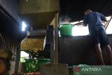 Pekerja melakukan proses penyotiran  kacang kedelai impor untuk pembuatan tempe di salah satu Industri Kecil Menengan (IKM), Desa Tanjung, Kecamatan Ingin Jaya, Kabupaten Aceh Besar, Aceh, Senin (31/10/2022). Pengusaha tempe di daerah itu menyatakan harga kacang kedelai impor yang terus mengalami kenaikan dan saat ini seharga  Rp14.500 per kilogram dari sebelumnya Rp10.600 perkilogram memaksa mereka mengurangi ukuran tempe guna menjaga permintaan pasar, sedangkan harga penjualan tempe masih bertahan Rp1.200 per bungkus. ANTARA FOTO/Ampelsa.