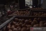 Pekerja memilah telur ayam di Desa Cipaku, Kabupaten Ciamis, Jawa Barat, Selasa (1/11/2022). Produksi telur ayam di kawasan tersebut mengalami penurunan sebesar 10 persen dari biasanya sebanyak 4,5 kuital per hari akibat cuaca yang tidak menentu dan dijual dengan harga Rp32.000 per kilogram. ANTARA FOTO/Adeng Bustomi/agr