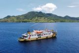 Pelayaran Kapal Perintis Pelni Di Daerah 3T Di NTT