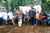 Solok Selatan jadi proyek percontohan penanaman sorgum terintegrasi