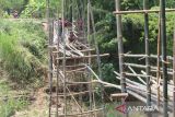 Warga bergotong royong membuat jembatan bambu di Desa Ngadi, Kediri, Jawa Timur, Rabu (2/11/2022). Jembatan bambu setinggi 40 meter penghubung Kediri dengan Tulungagung tersebut dibuat kembali setelah sebelumnya rusak terbawa arus sungai. ANTARA Jatim/Prasetia Fauzani/zkWarga bergotong royong membuat jembatan bambu di Desa Ngadi, Kediri, Jawa Timur, Rabu (2/11/2022). Jembatan bambu setinggi 40 meter penghubung Kediri dengan Tulungagung tersebut dibuat kembali setelah sebelumnya rusak terbawa arus sungai. ANTARA Jatim/Prasetia Fauzani/zk