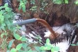 Pemkab belum mengetahui penyebab tercemarnya air parit di belakang PT Kemilau Permata Sawit