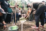 Pemkab Gowa tanam 70.200 pohon guna kembalikan lahan hutan kritis