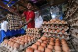 Kenaikan harga telur ayam di Yogyakarta disebabkan peningkatan permintaan