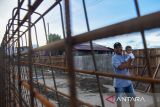 Warga melintas di area pembangunan tanggul rob di Belawan, Medan, Sumatera Utara, Selasa (8/11/2022). Tanggul yang dibangun Kementerian Pekerjaan Umum dan Perumahan Rakyat (PUPR) untuk mengatasi rob di kawasan tersebut saat ini pembangunannya telah mencapai 25 persen. 

ANTARA FOTO/Fransisco Carolio