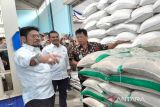 Kementan: 610 ribu ton beras di penggilingan 24 provinsi siap diserap Bulog