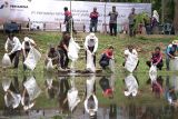 Pertamina Patra Niaga Regional Sumbagsel tebar 200 ribu benih ikan endemik di kanal Candi Muaro Jambi