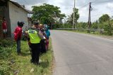 Hendak salip truk, Marianah emak-emak pengendara motor di Lombok Tengah tewas