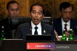 Pengamat China melihat gejala Indonesia sebagai kekuatan global baru