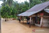 316 rumah warga tergenang akibat banjir di Mukomuko